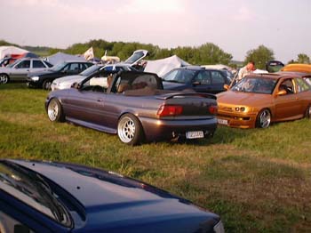 41